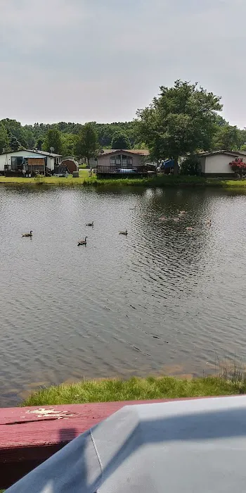 Oakland Estates Mobile Home Park 5