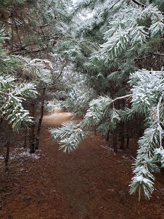 Evergreen Campgrounds 7