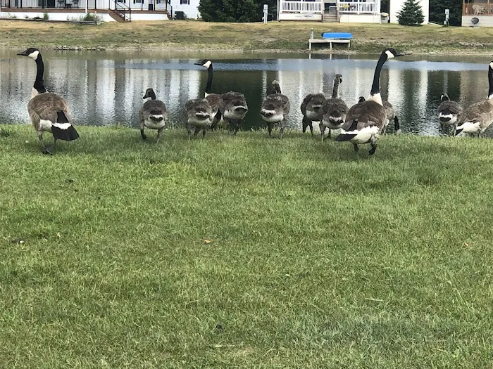 Pine Lakes Community 5