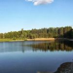 Attica Pines Campground