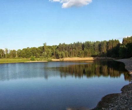 Attica Pines Campground