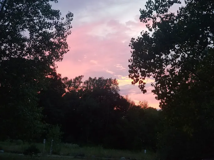 Attica Pines Campground 5