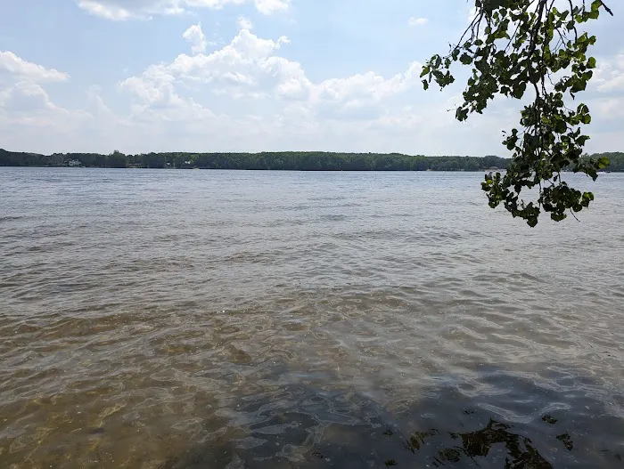 Wolverine Campground 8