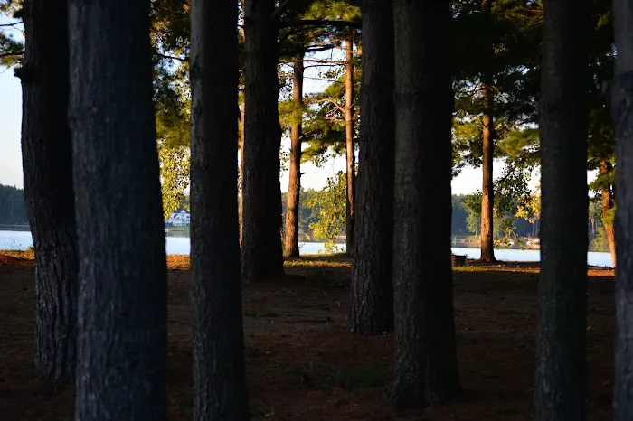 Wolverine Campground 2