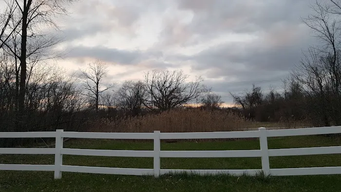 Meadowlands 5