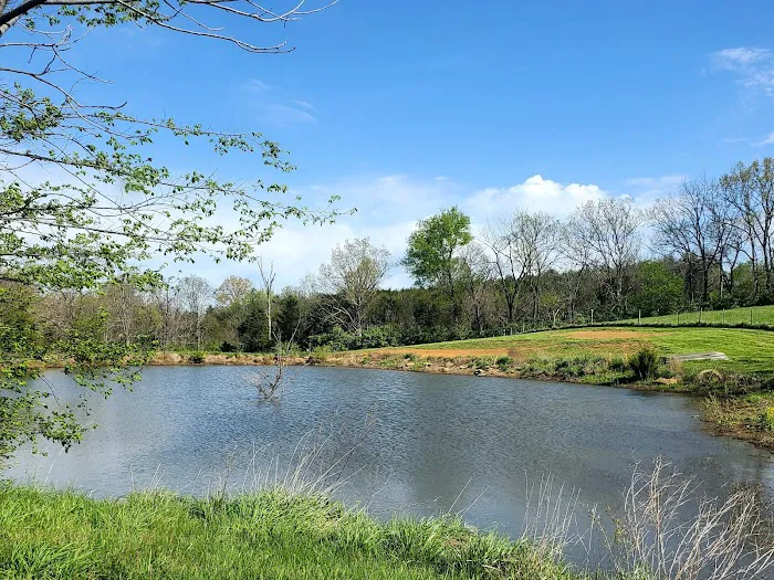 Bourbon Trail Campground 5