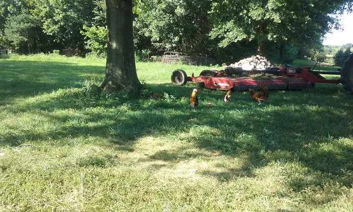 Duckers Mobile Home Park 8