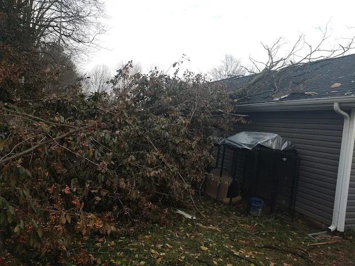 Parkers Mobile Home Park 1