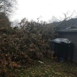 Parkers Mobile Home Park