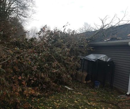 Parkers Mobile Home Park