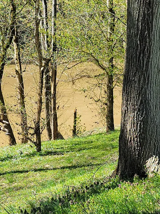 Camp On the Kentucky 9