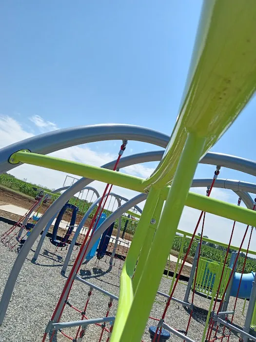 Sawyier Pointe 5