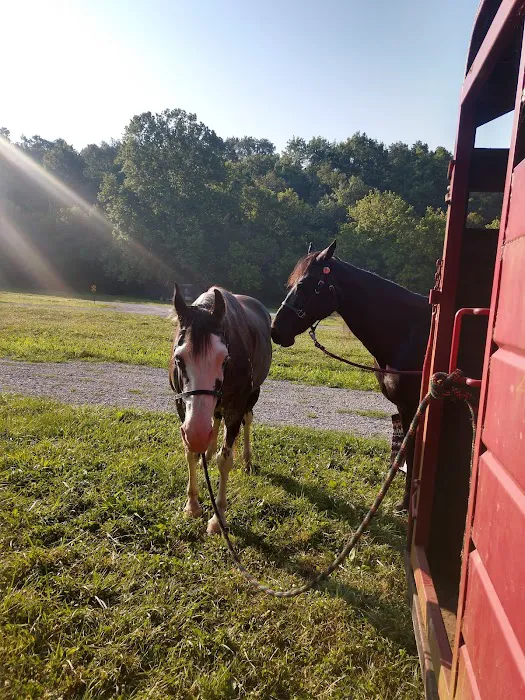Reservoir horse trail camp 2