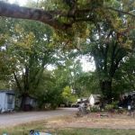 Maple Grove Mobile Home Park