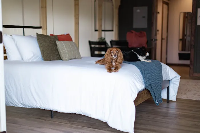 Abide Glamping 8