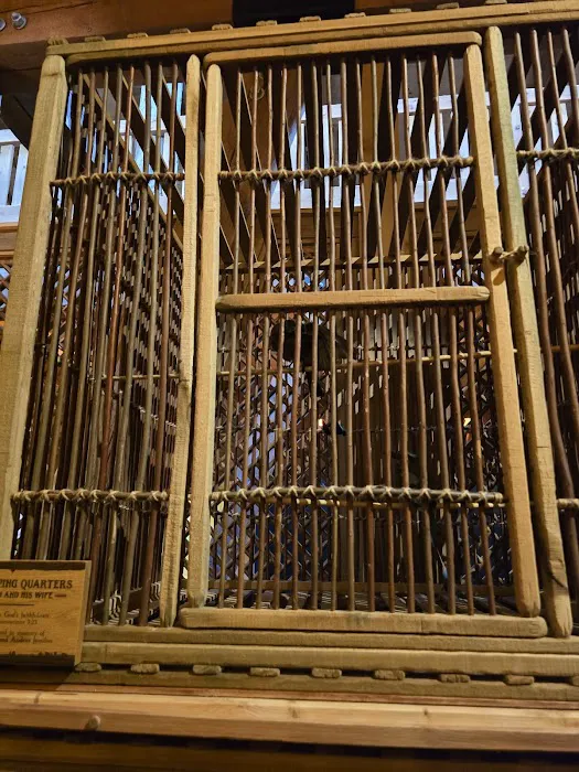 Noahs Ark 10