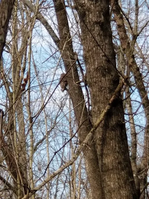 Spring Creek Campground 2
