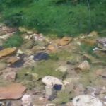 Creekbend Mobile Home Park