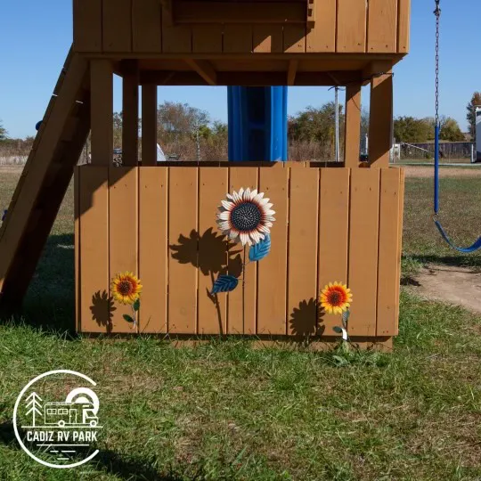 Cadiz RV Park 3
