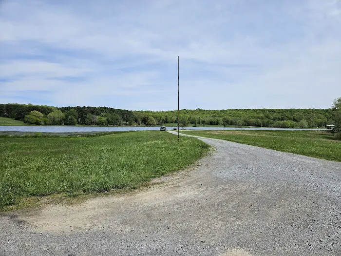 Tall Tree Lake 5