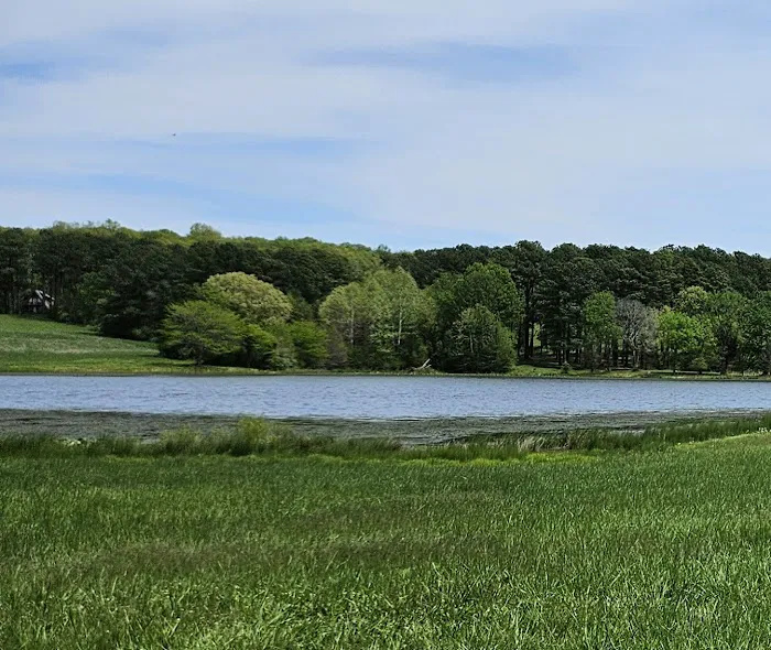 Tall Tree Lake 4