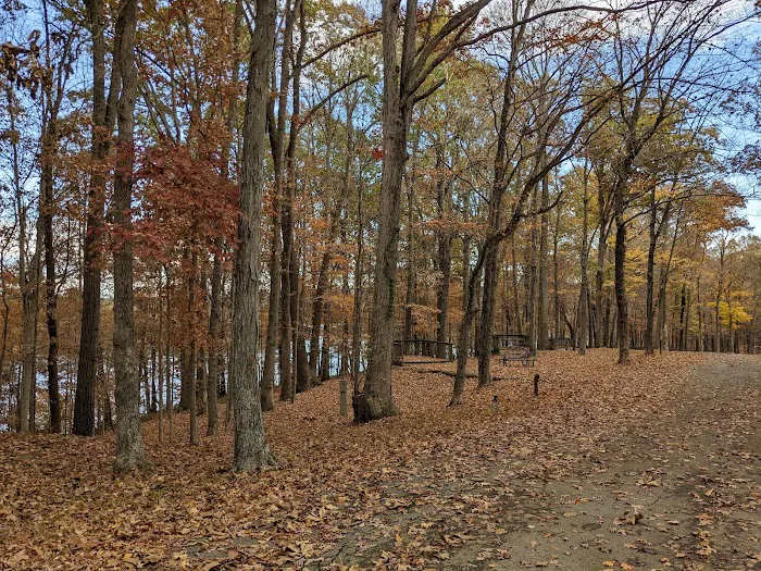 Lake Barkley Campground 1