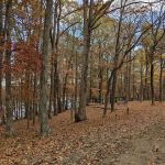 Lake Barkley Campground