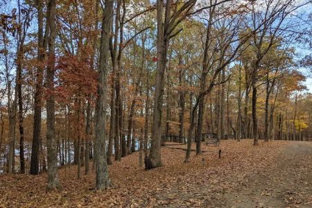 Lake Barkley Campground