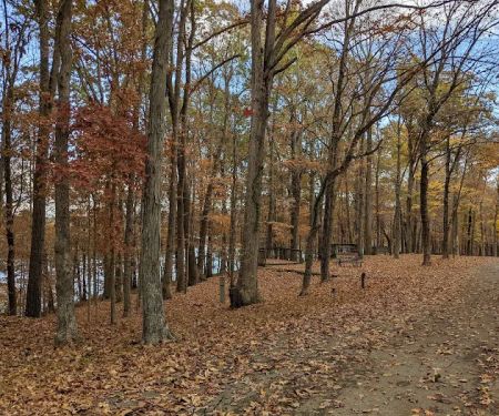 Lake Barkley Campground