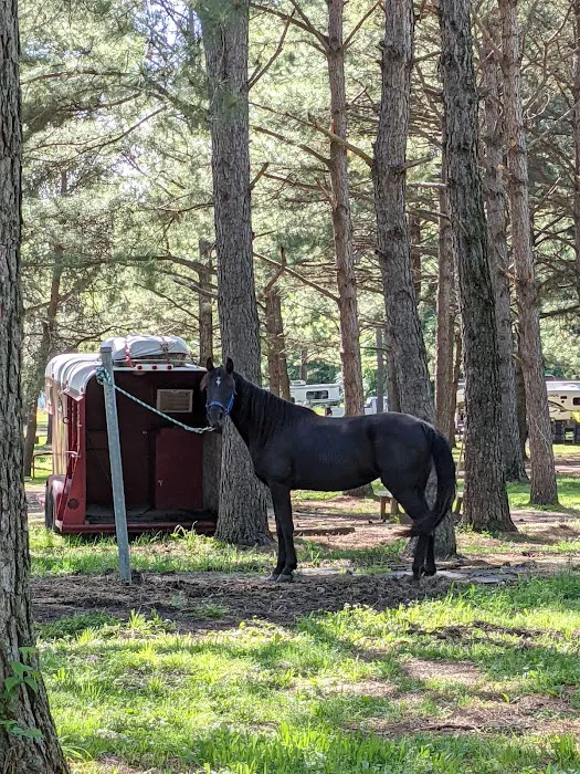 Wranglers Campground: Land Between the Lakes 5