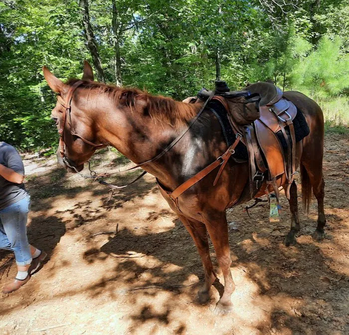 Wranglers Campground: Land Between the Lakes 8