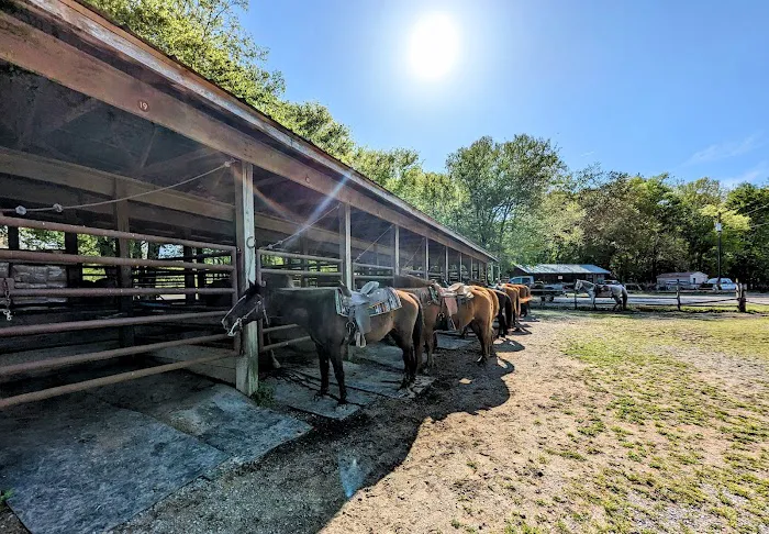 Wranglers Campground: Land Between the Lakes 2