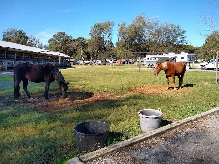 Wranglers Campground: Land Between the Lakes 9