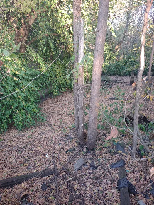 Main Brothers Campground 9