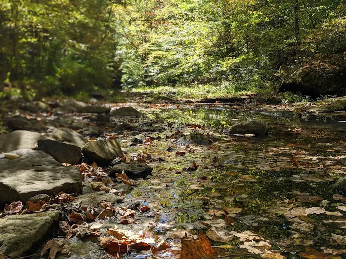 Turkey Ridge Campground 4