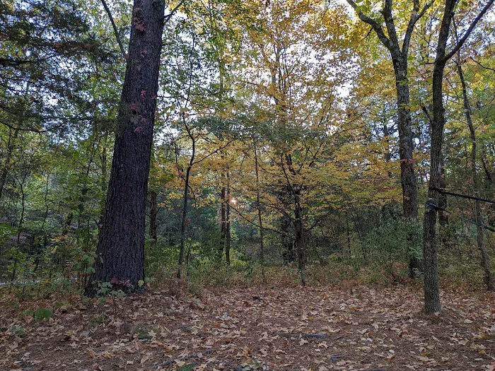 Turkey Ridge Campground 3