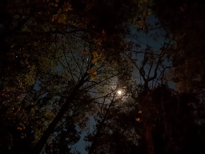 Turkey Ridge Campground 2