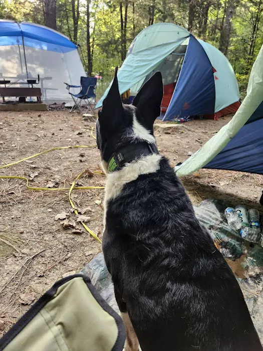 Turkey Ridge Campground 5