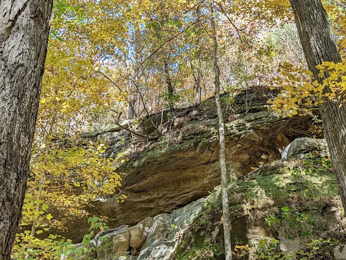 Turkey Ridge Campground 10