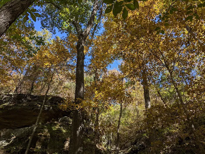 Turkey Ridge Campground 9