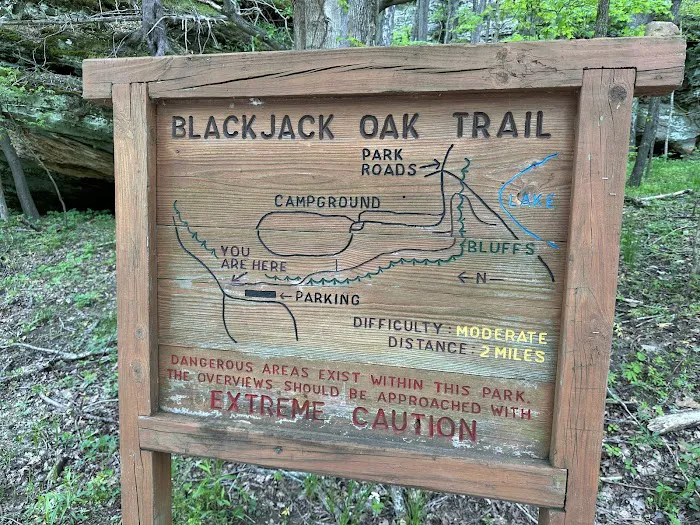 Ferne Clyffe State Park Campground Loop 10