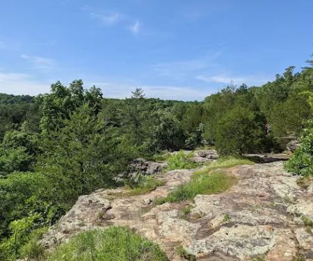 Ferne Clyffe State Park Campground Loop