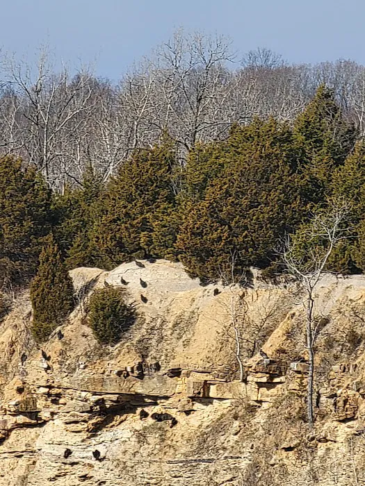 Hilltop Campground 9