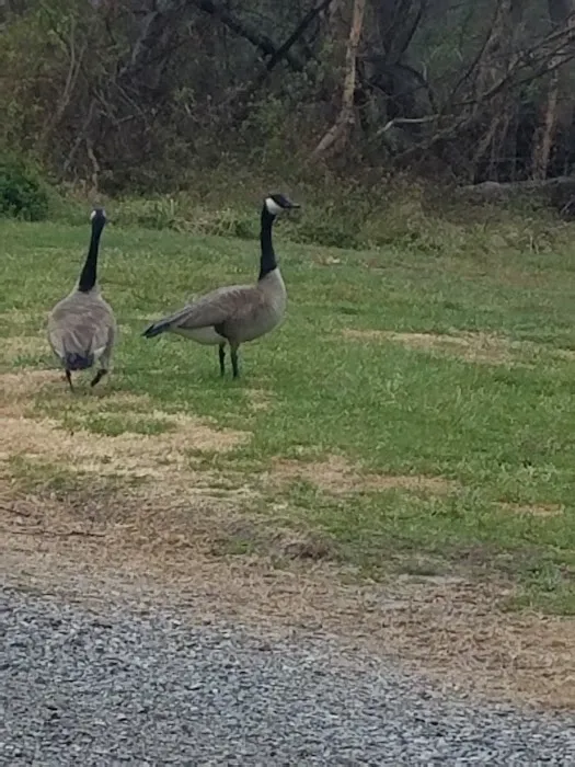 Crab Orchard Campground 3