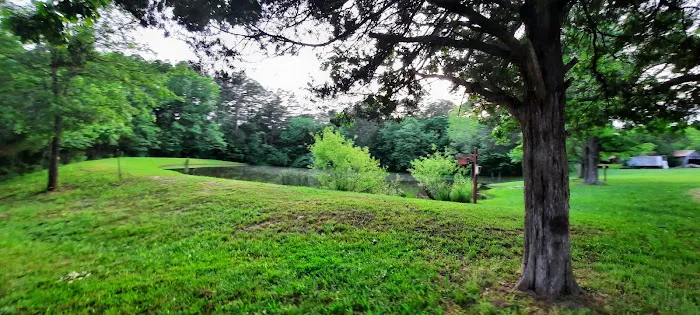 Tea Lakes 5