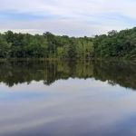 Tea Lakes