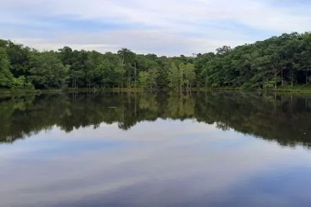 Tea Lakes