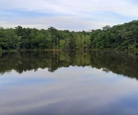 Tea Lakes