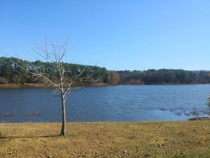 Tea Lakes 7