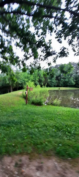 Tea Lakes 3